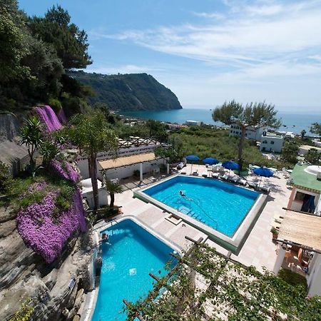 Hotel Villa Bianca Forio di Ischia Eksteriør bilde